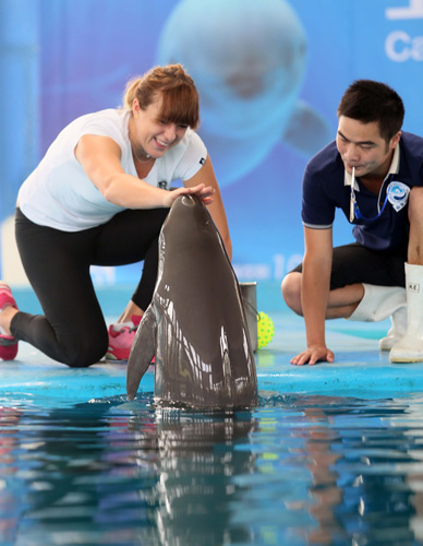 卫或双中卫 卫或双中卫