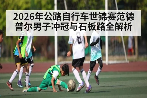 2026年公路自行车世锦赛范德普尔男子冲冠与石板路全解析